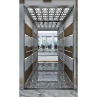 Egy_Euro14 كابينة مصعد ركاب